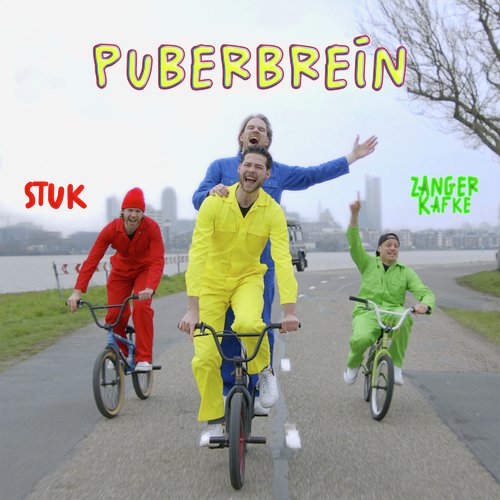 Puberbrein