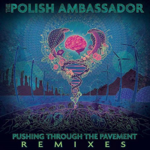 Pushing Through the Pavement (Remixes)_poster_image