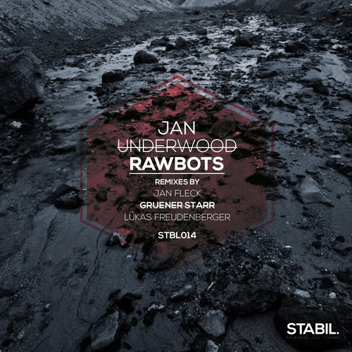 Rawbots (Jan Fleck Remix) cover art