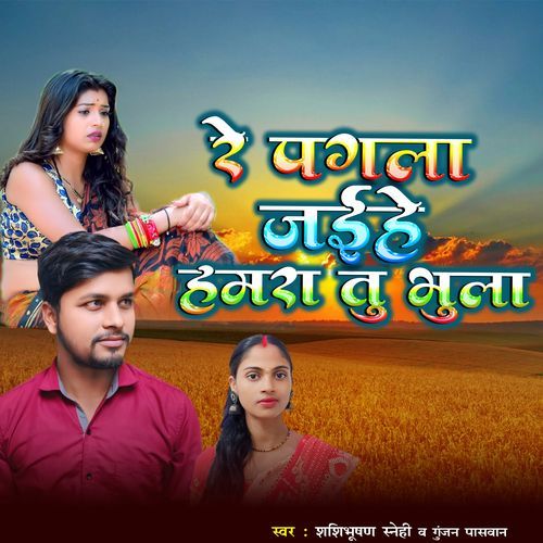 Re Pagla Jaihe Hamra Tu Bhula