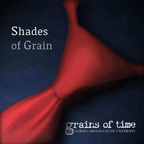 Grains of Time