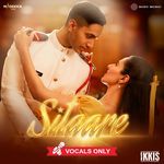 Sitaare (From "Ikkis") (Vocals Only)_poster_image