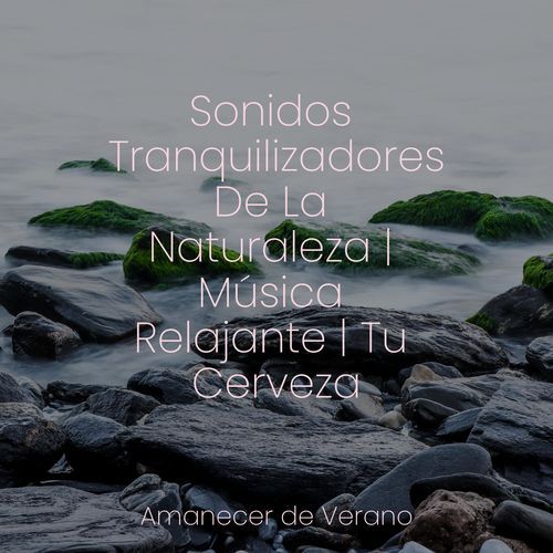 Nexo de Alimentación Melódica cover art