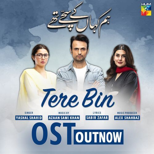 Tere Bin (Hum Kahan Ke Sachay Thy OST) cover art