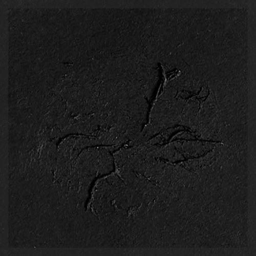 The Art Of Darkness- Music For Film Vol.1