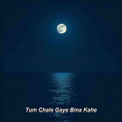 Tum Chale Gaye Bina Kahe