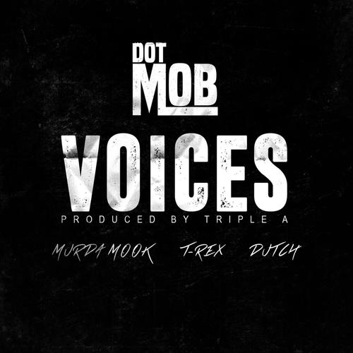 DotMob Presents: Voices_poster_image