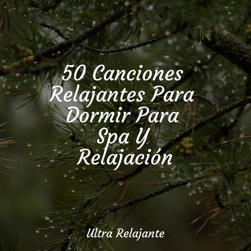 50 Canciones Relajantes Para Dormir Para Spa Y Relajación