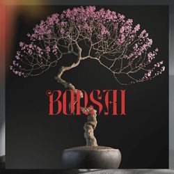 BONSAI