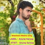 bhaichara Meena song
