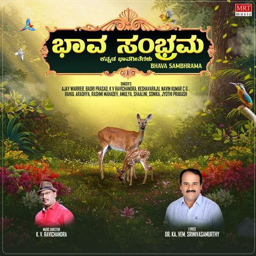 Bhava Sambhrama