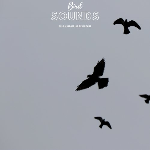 Natural Bird cover art