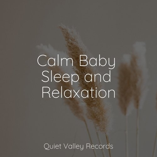 Calm Baby Sleep and Relaxation