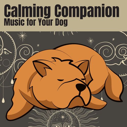 Calming Companion Music for Your Dog_poster_image