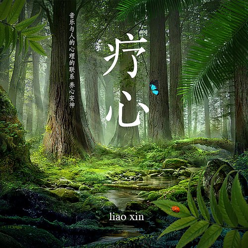自然声音-Dmeo cover art