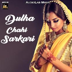 Dulha Chahi Sarkari-ITo-fyUGUmU