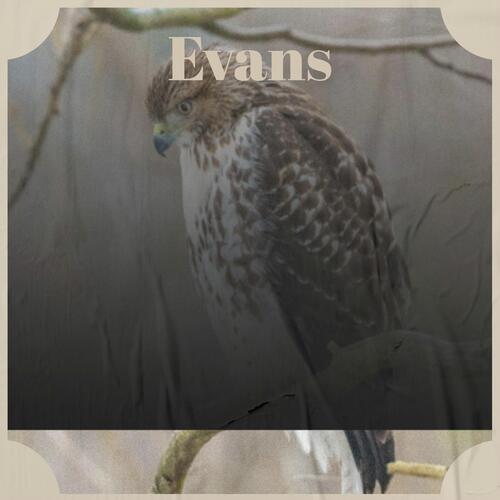 Evans cover art