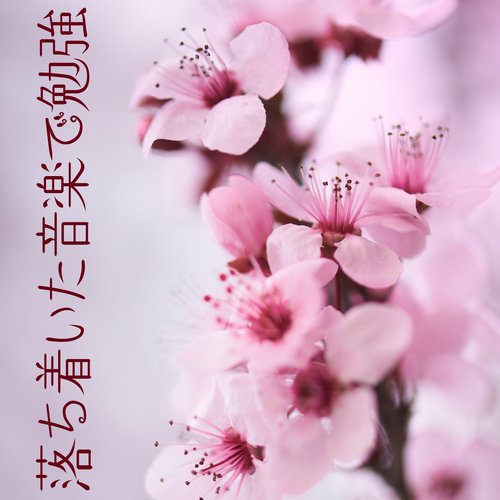 クリエイティブフォーカスミュージック cover art