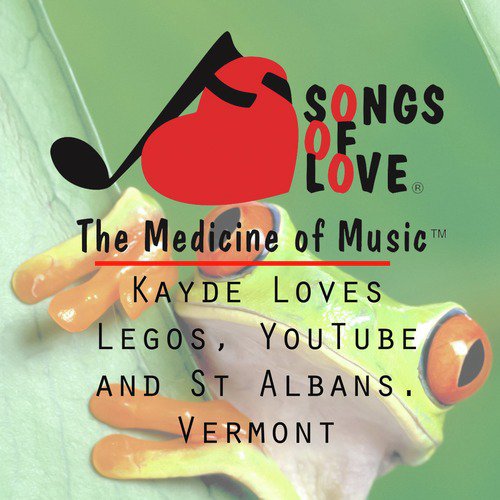 Kayde Loves Legos, YouTube and St Albans. Vermont cover art