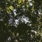 Ветер с дождем