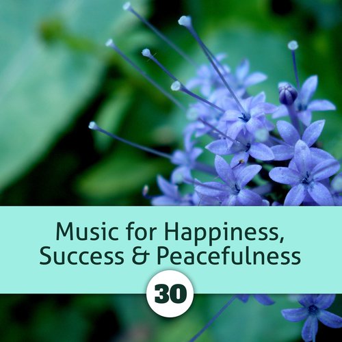 Music for Happiness, Success & Peacefulness 30 – Enjoy the Journey to Find Something Positive, Your Personal Destiny