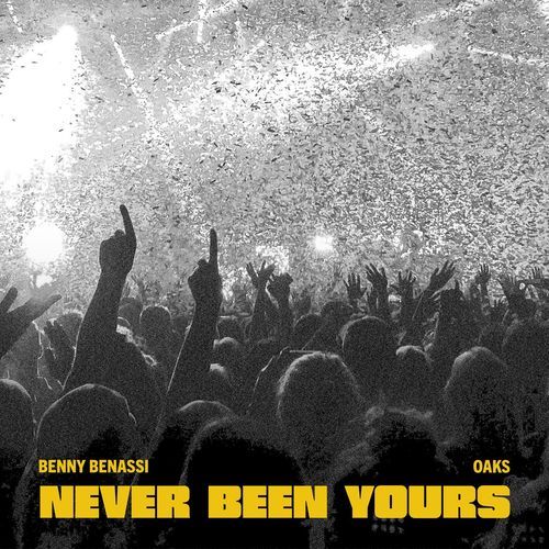 Never Been Yours_poster_image