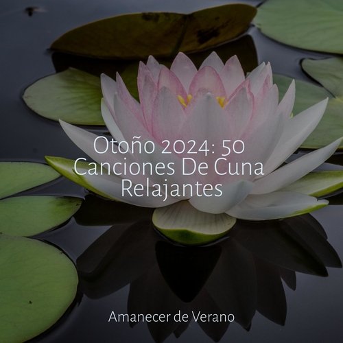 Otoño 2024: 50 Canciones De Cuna Relajantes