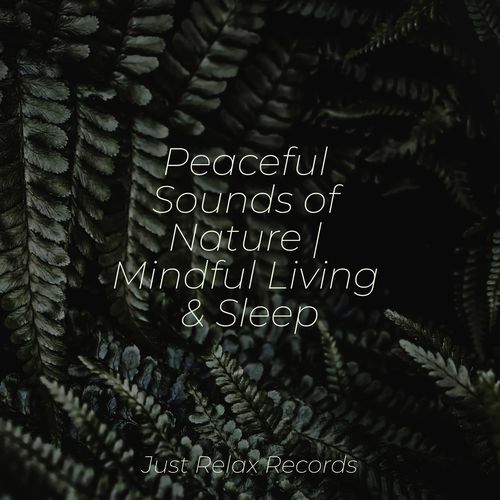 Peaceful Sounds of Nature | Mindful Living & Sleep