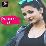 Puruilar Dj