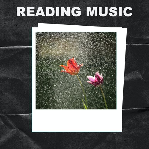 Reading Music