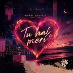 TU HAI MERI