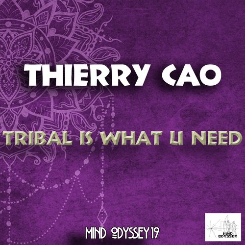 Tribal Is What U Need_poster_image