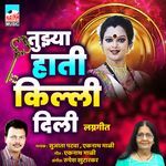 Tuzhya hathi killi dili