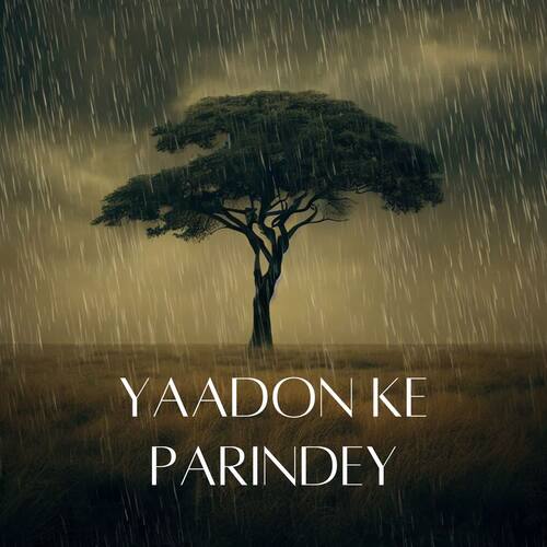 Yaadon Ke Parindey