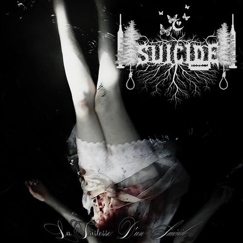 la tristesse d'un suicide