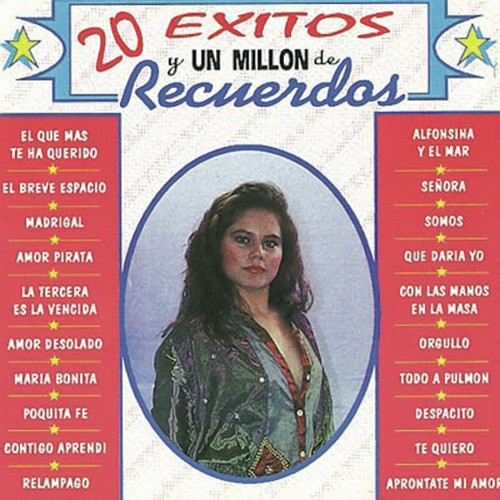 20 Exitos y un Millon de Recuerdos_poster_image