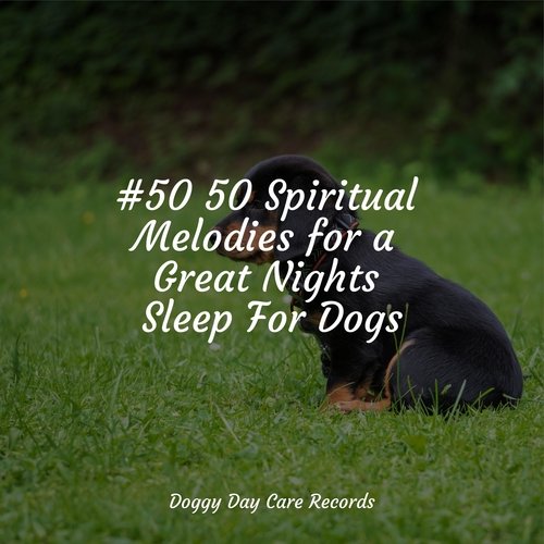 Meditating Music cover art