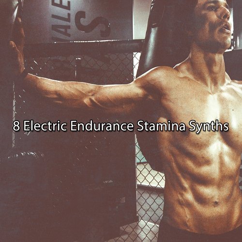 8 Electric Endurance Stamina Synths