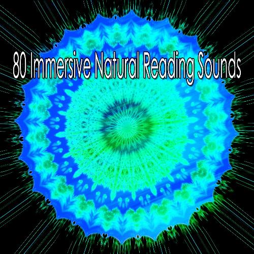 80 Immersive Natural Reading Sounds