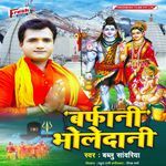 Barfani Bholedani artwork