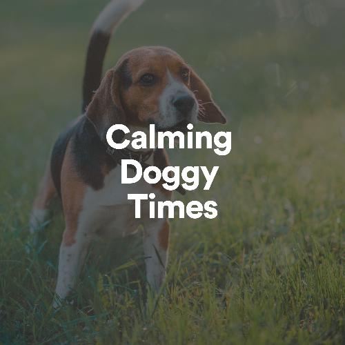 Calming Doggy Times_poster_image