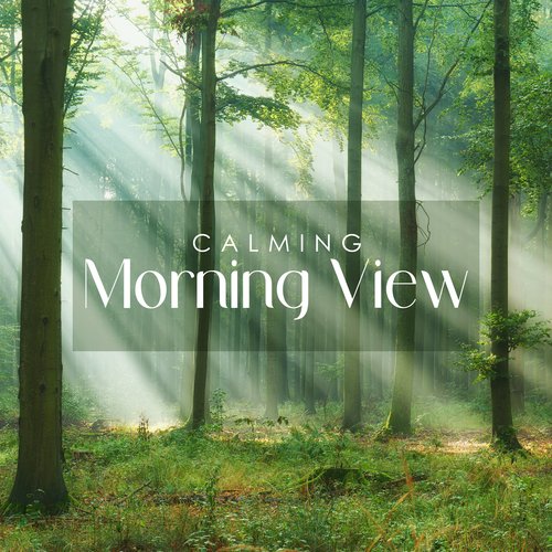 Calming Morning View: Stress Relief with the Sounds of the Forest_poster_image