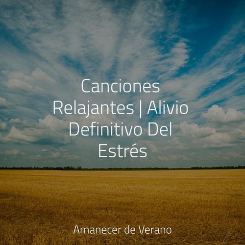 Canciones Relajantes | Alivio Definitivo Del Estrés