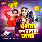 Chabhata Kam Dabta Jada