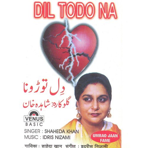 Dil Todo Na