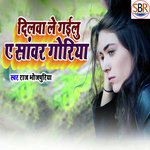 Dilwa Le Gaiilu E Sawar Goriya