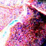 I'm Only Trying To Help