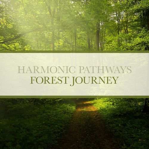 Forest Journey (432 Hz Version)