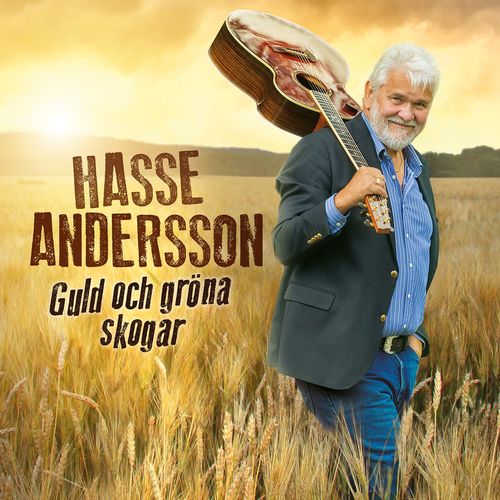 Det Var Dans Och Hålligång