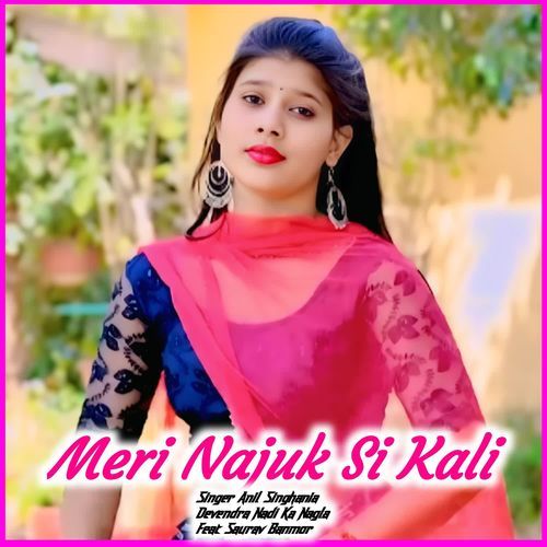Meri Najuk Si Kali